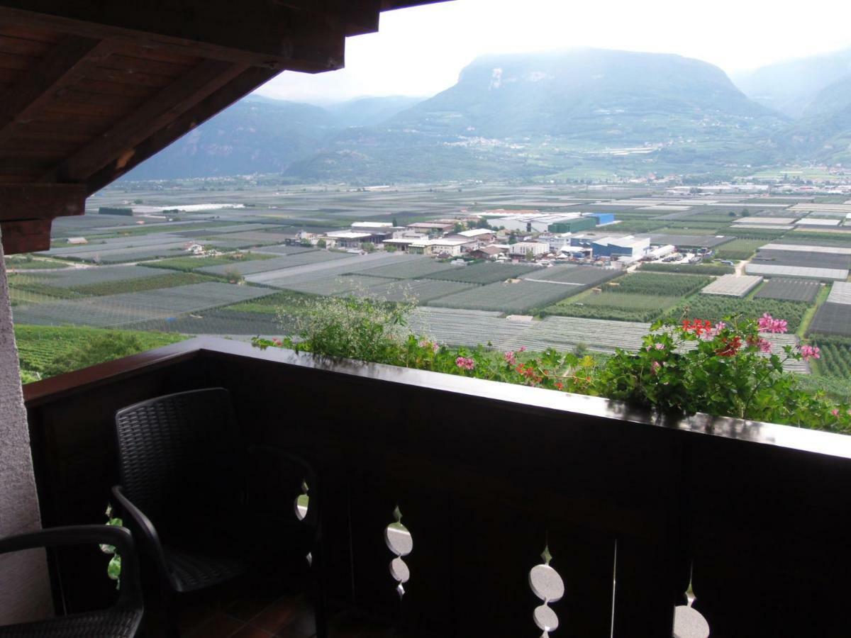 泰尔梅诺 Garni Runggner Traubenhof酒店 外观 照片