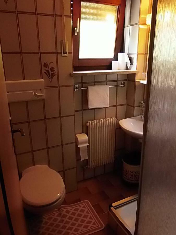 泰尔梅诺 Garni Runggner Traubenhof酒店 外观 照片